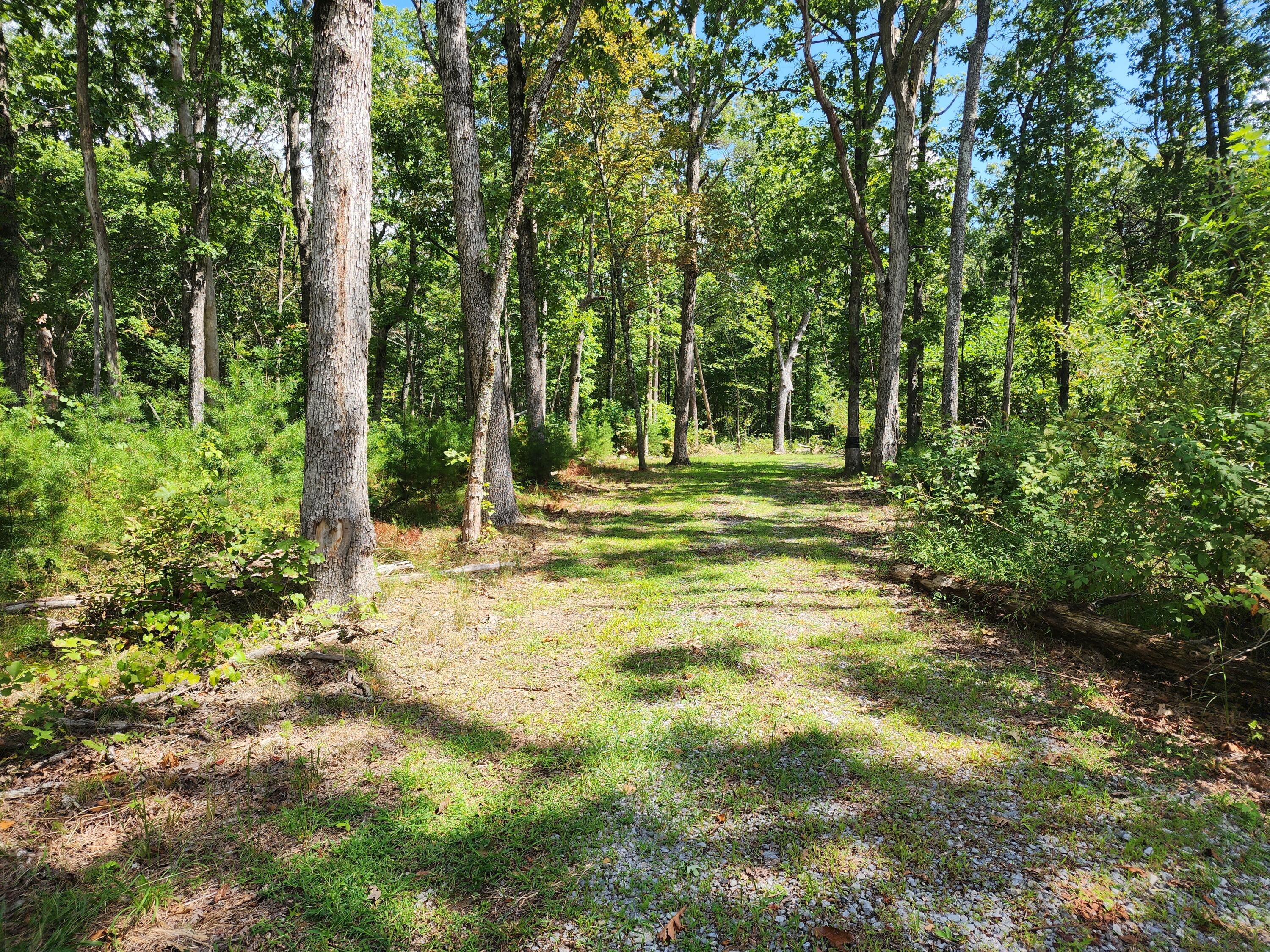 7182 Old State Road Menlo, GA 30731 - Photo 8 of 27 20230917_124702