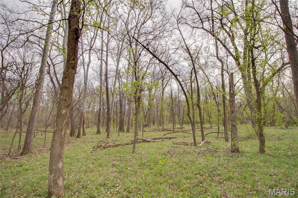 0 Low Water Road Franklin, IL 62638 - Photo 11 of 23