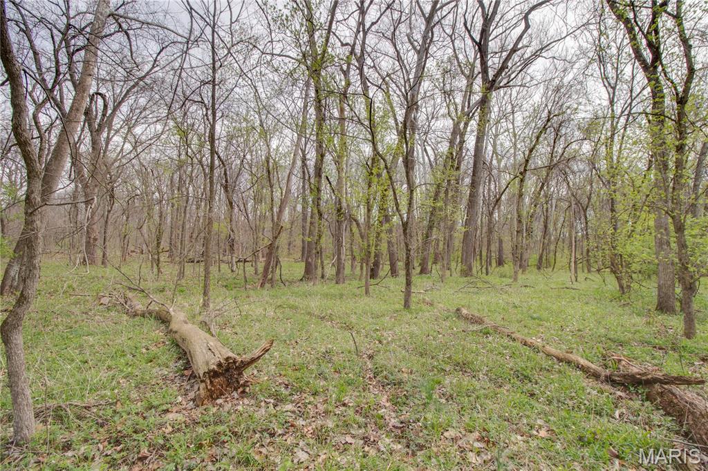 0 Low Water Road Franklin, IL 62638 - Photo 13 of 23