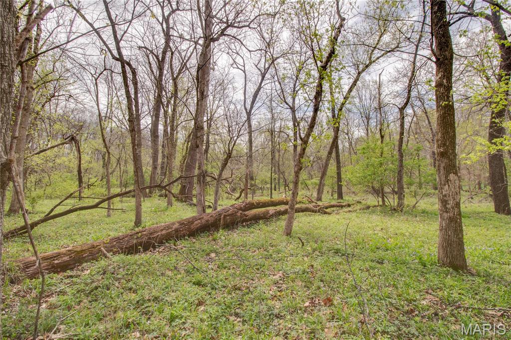 0 Low Water Road Franklin, IL 62638 - Photo 14 of 23