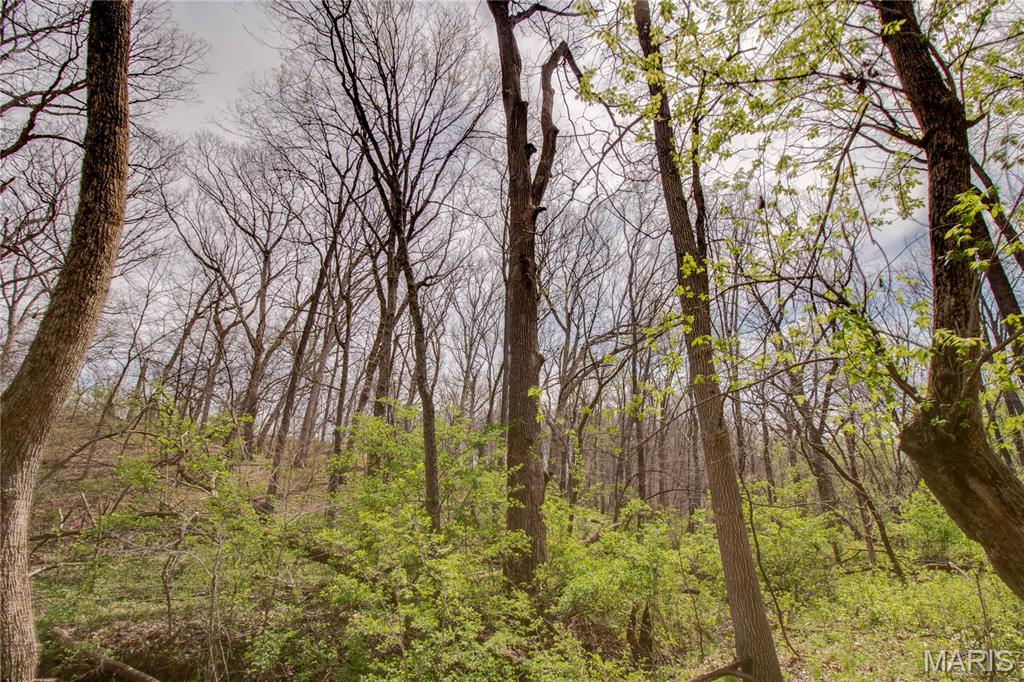 0 Low Water Road Franklin, IL 62638 - Photo 21 of 23