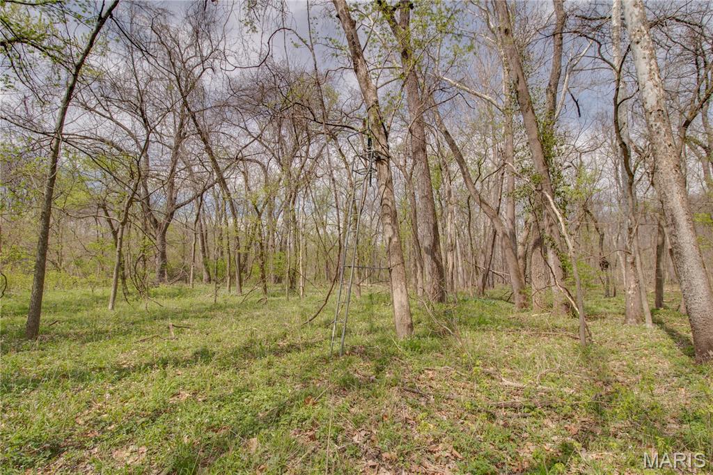 0 Low Water Road Franklin, IL 62638 - Photo 22 of 23