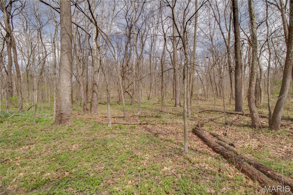 0 Low Water Road Franklin, IL 62638 - Photo 23 of 23