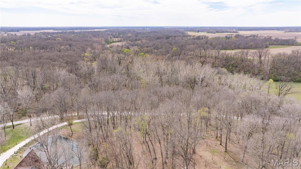 0 Low Water Road Franklin, IL 62638 - Photo 4 of 23
