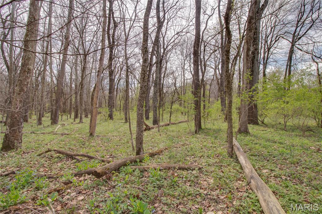 0 Low Water Road Franklin, IL 62638 - Photo 8 of 23
