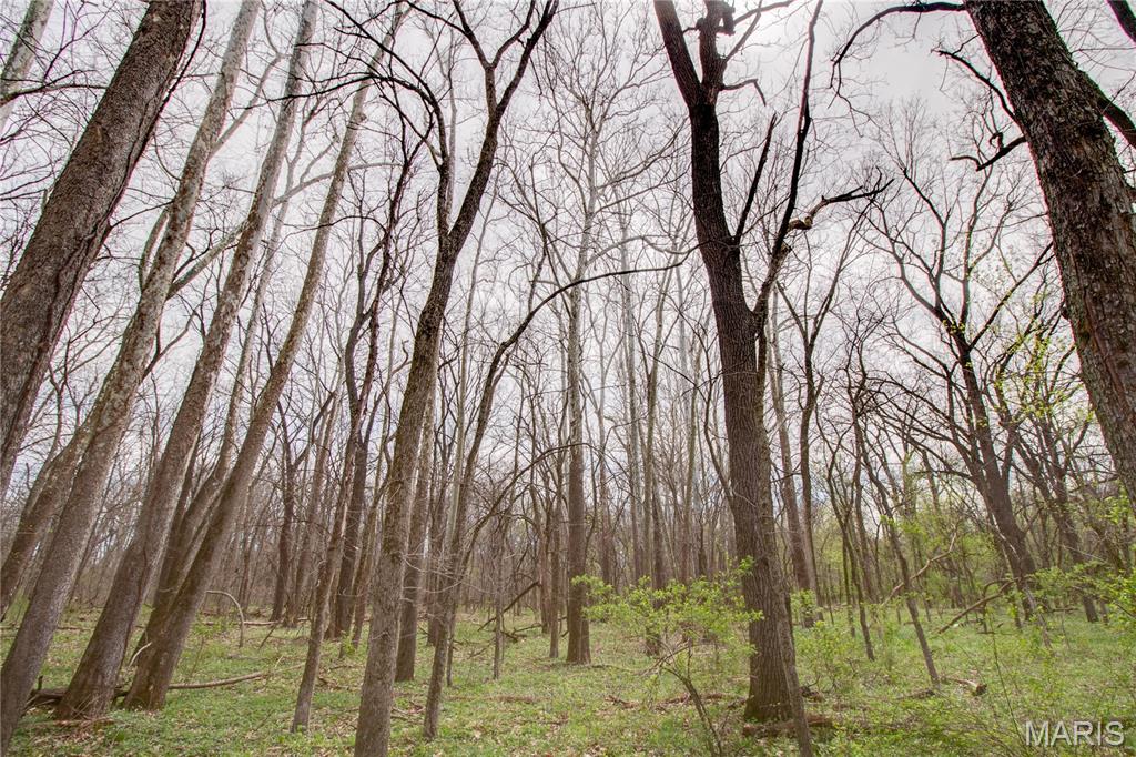 0 Low Water Road Franklin, IL 62638 - Photo 9 of 23