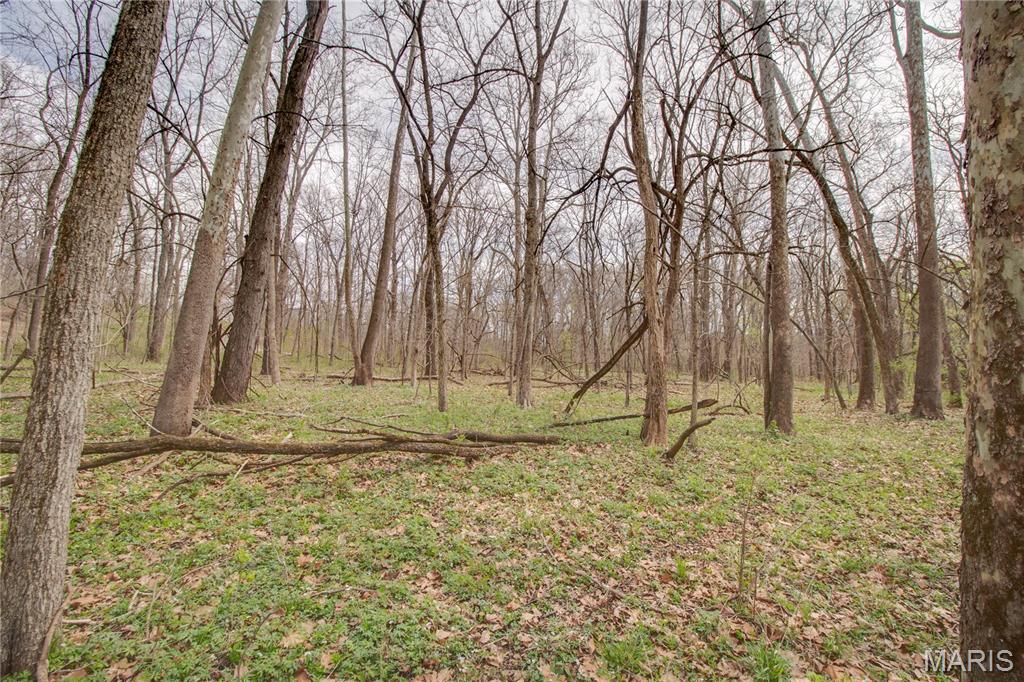 0 Low Water Road Franklin, IL 62638 - Photo 10 of 23