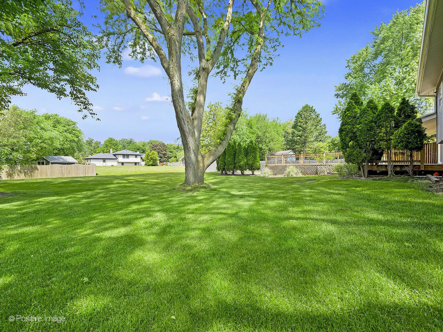 11S568 Book Road Naperville, IL 60564 - Photo 24 of 25 a view of yard with grass and trees