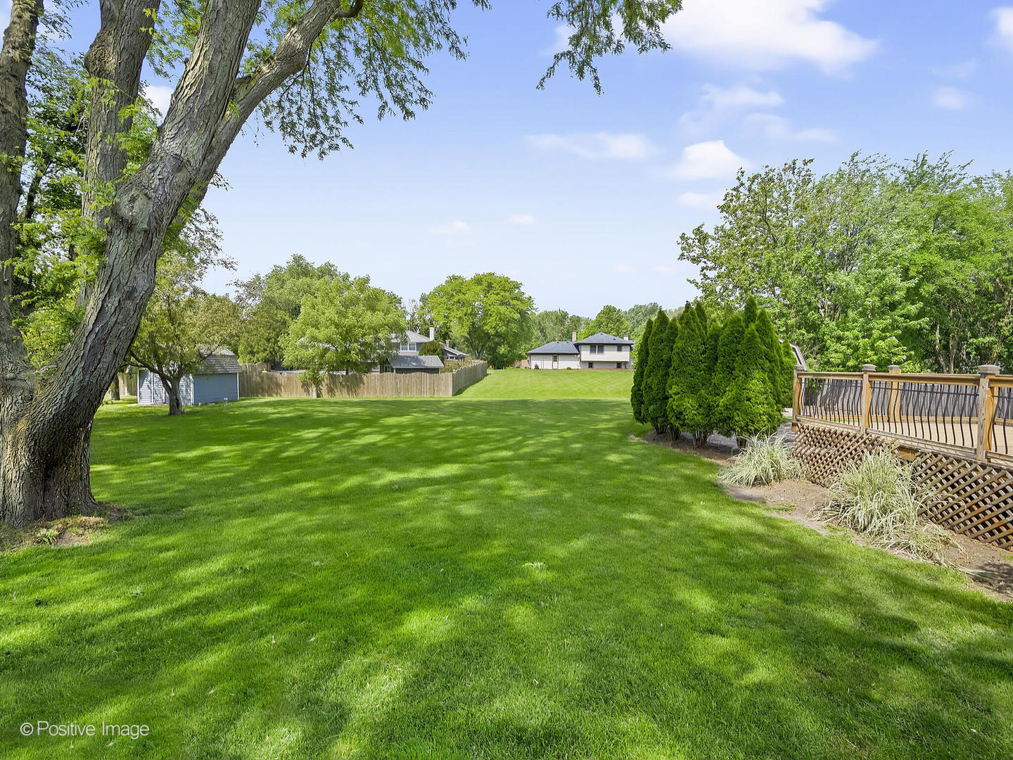 11S568 Book Road Naperville, IL 60564 - Photo 25 of 25 a view of yard with grass and a trees