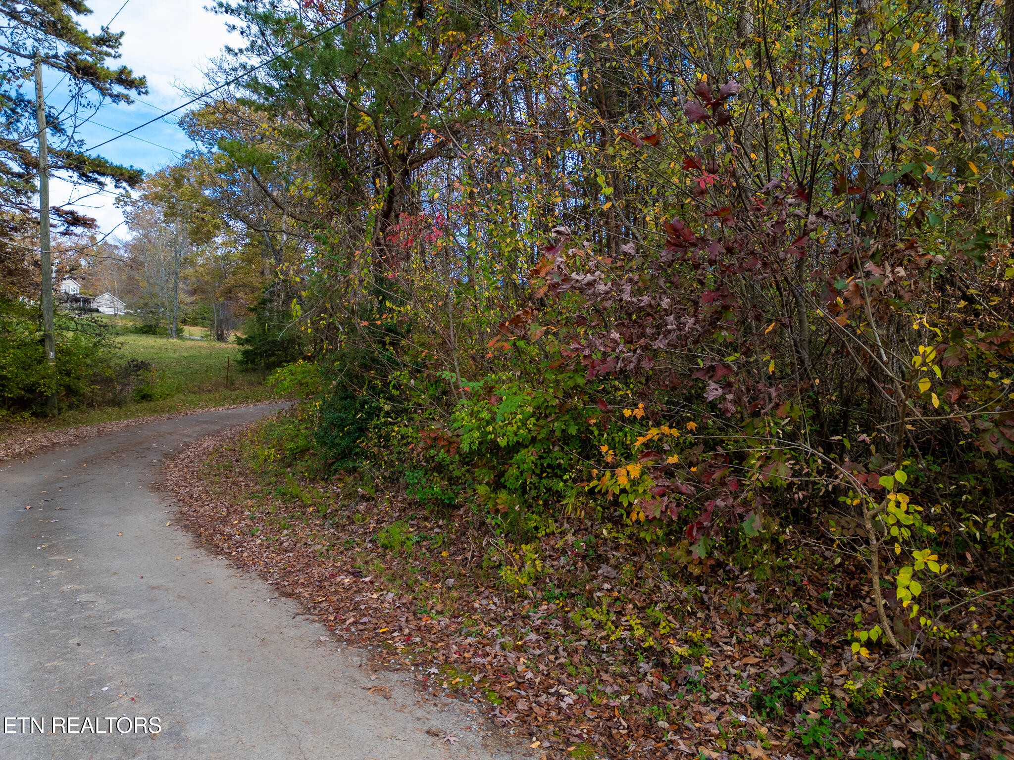 0 Collier Road Powell, TN 37849 - Photo 1 of 13 Gallery Image 1
