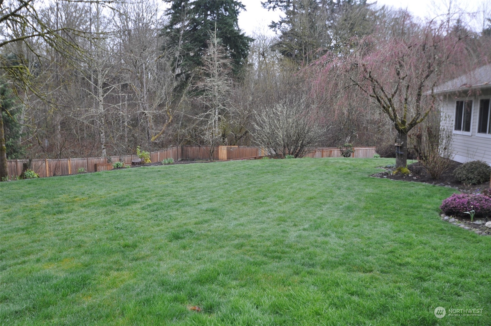 13003 Lake Kathleen Road Southeast Renton, WA 98059 - Photo 12 of 13 a view of a backyard with large trees