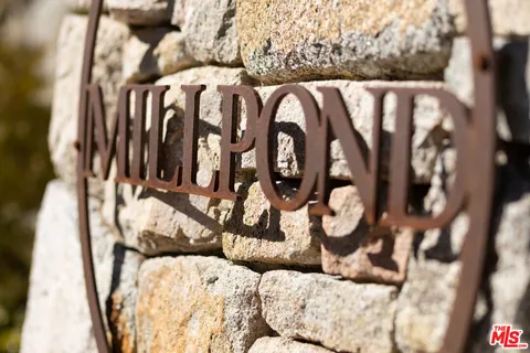 a view of a book with a tree