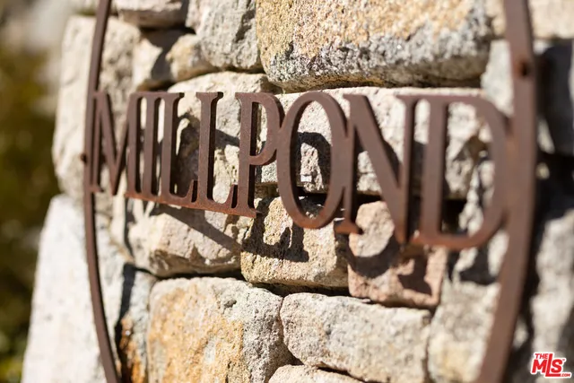 a view of a book with a tree