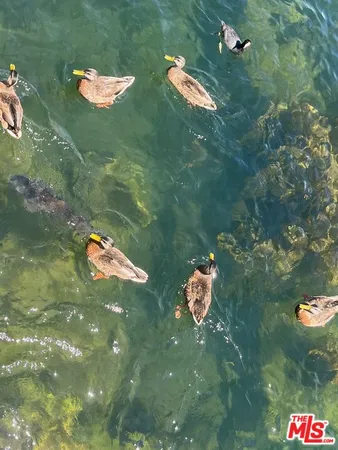 $232,000 | 188 Mill Pond Road, Lake Arrowhead, CA 92352