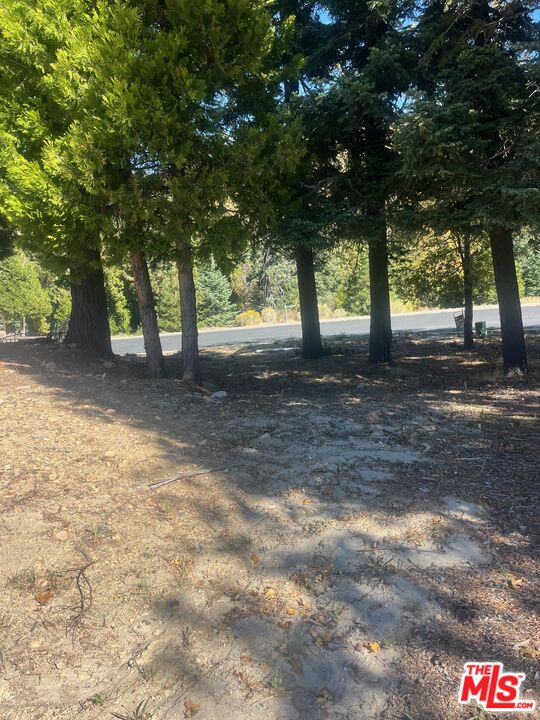 188 Mill Pond Road Lake Arrowhead, CA 92352 - Photo 6 of 26 a fire hydrant in middle of a field