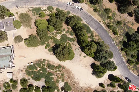 a view of a lot of flowers in a yard