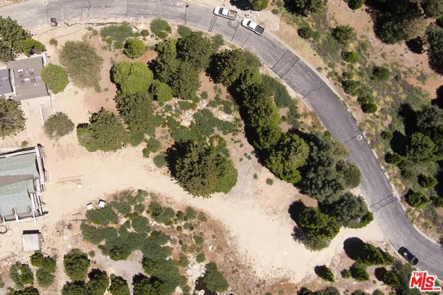 a view of a lot of flowers in a yard