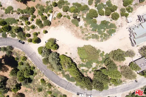 a view of dirt yard with a large tree