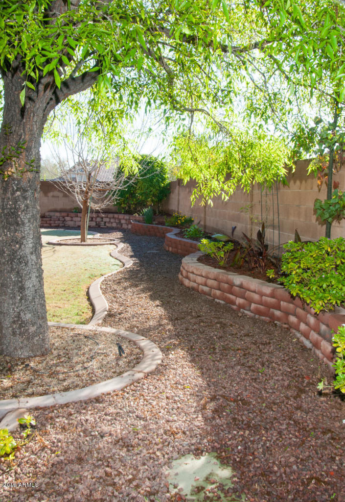 11167 West Berkeley Road Avondale, AZ 85392 - Photo 21 of 39 BE15