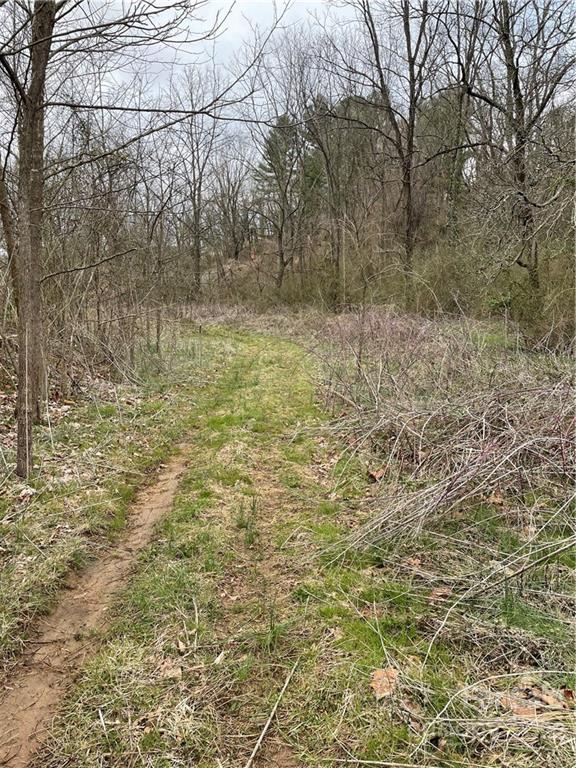 0 Brookside Street Clyde, NC 28721 - Photo 2 of 11 a view of a yard