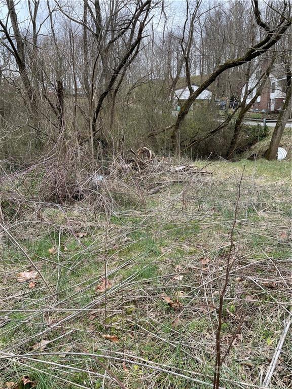 0 Brookside Street Clyde, NC 28721 - Photo 3 of 11 a view of a yard with plants and trees