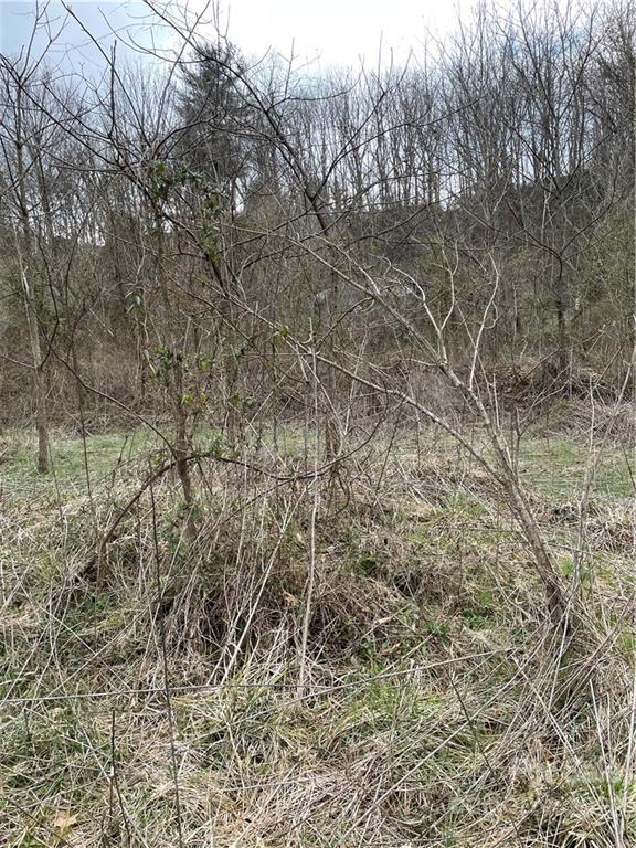 0 Brookside Street Clyde, NC 28721 - Photo 5 of 11 a view of a yard
