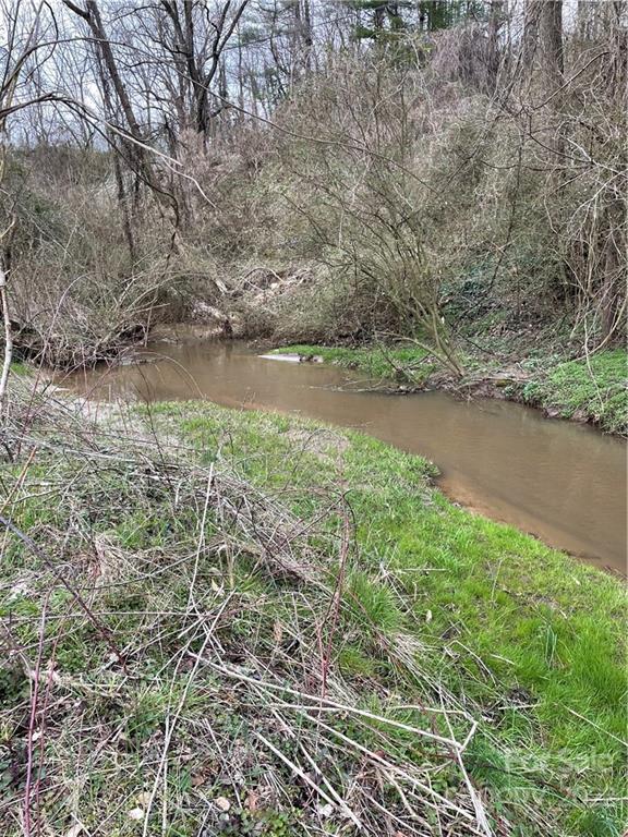 0 Brookside Street Clyde, NC 28721 - Photo 6 of 11