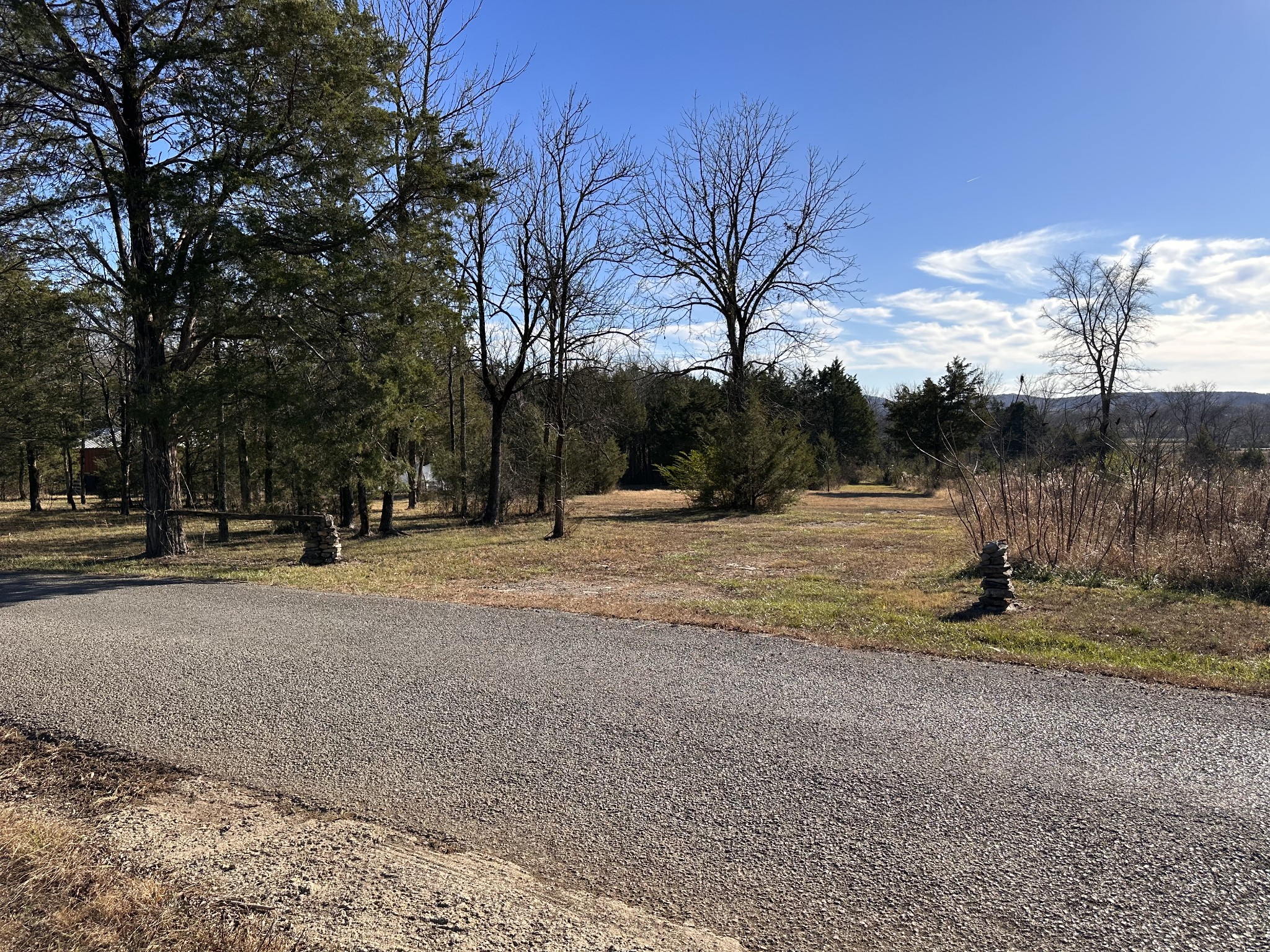 0 Blue Well Road Lebanon, TN 37090 - Photo 8 of 9 a view of road with trees