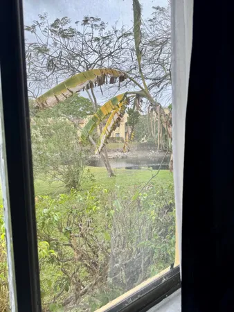 a view of a yard from a window