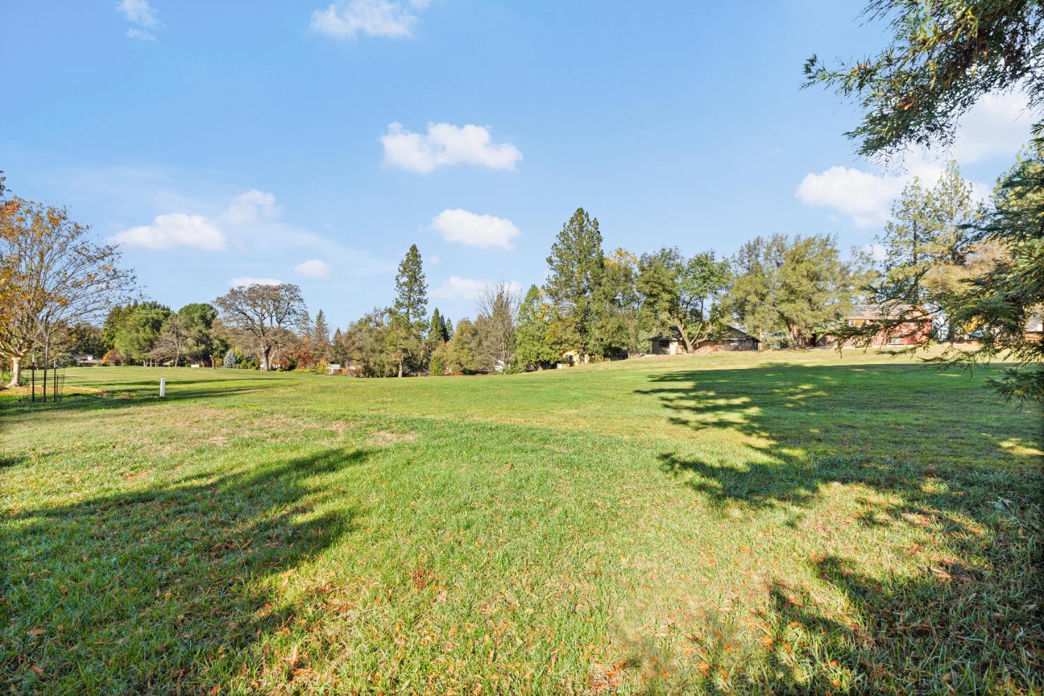 24626 Oro Valley Road Auburn, CA 95602 - Photo 43 of 54 a view of a big yard