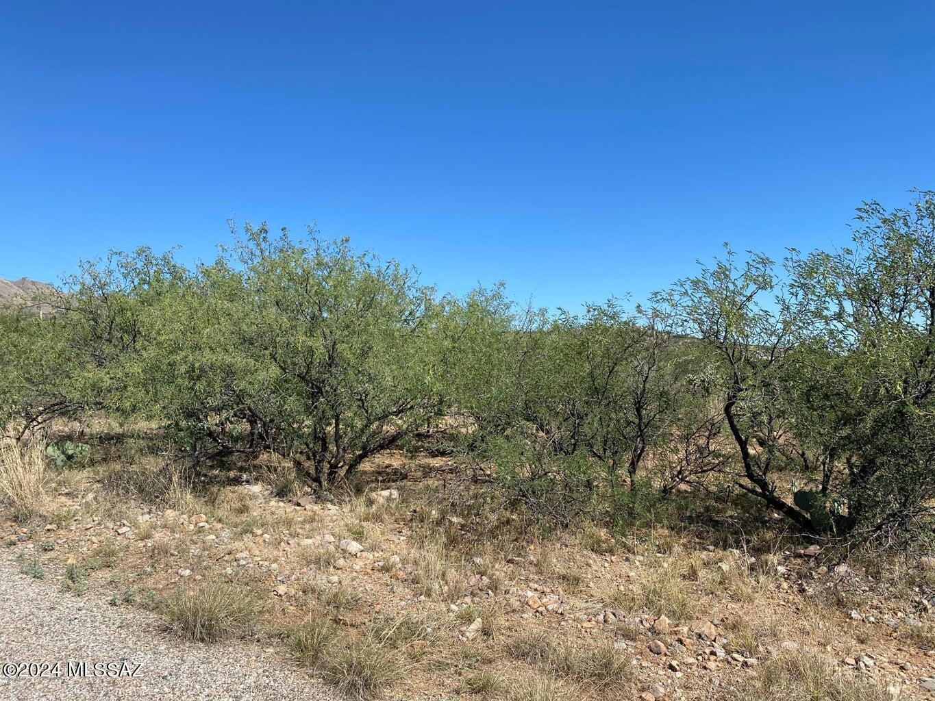 1574 Furel Court, Unit 9 Rio Rico, AZ 85648 - Photo 3 of 6