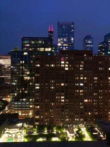 303 West Ohio Street, Unit 1807 Chicago, IL 60654 - Photo 29 of 29