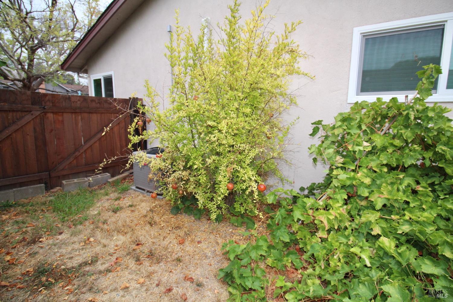 599 Tamarack Drive San Rafael, CA 94903 - Photo 10 of 20 a backyard of a house