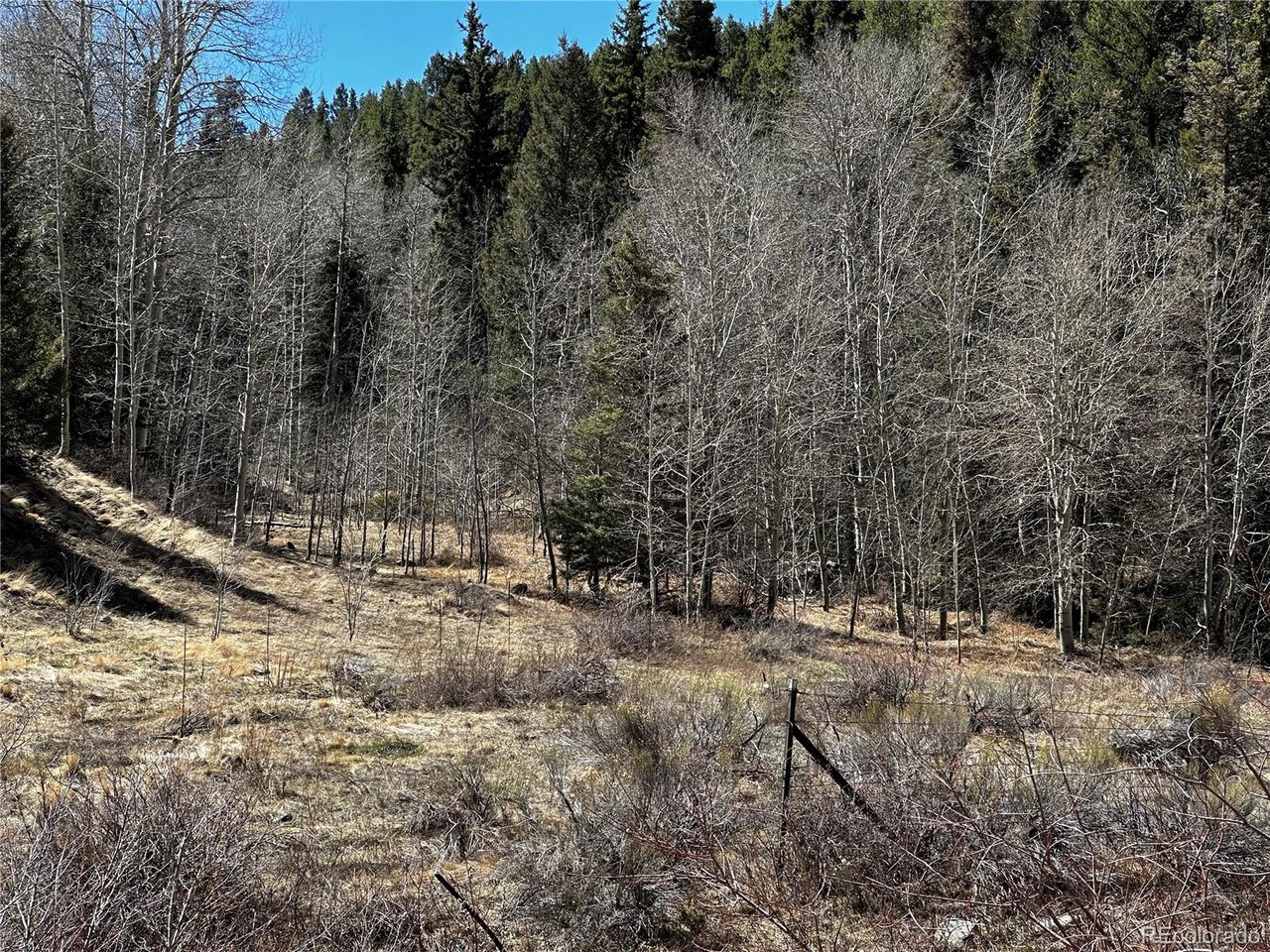 a view of outdoor space with trees