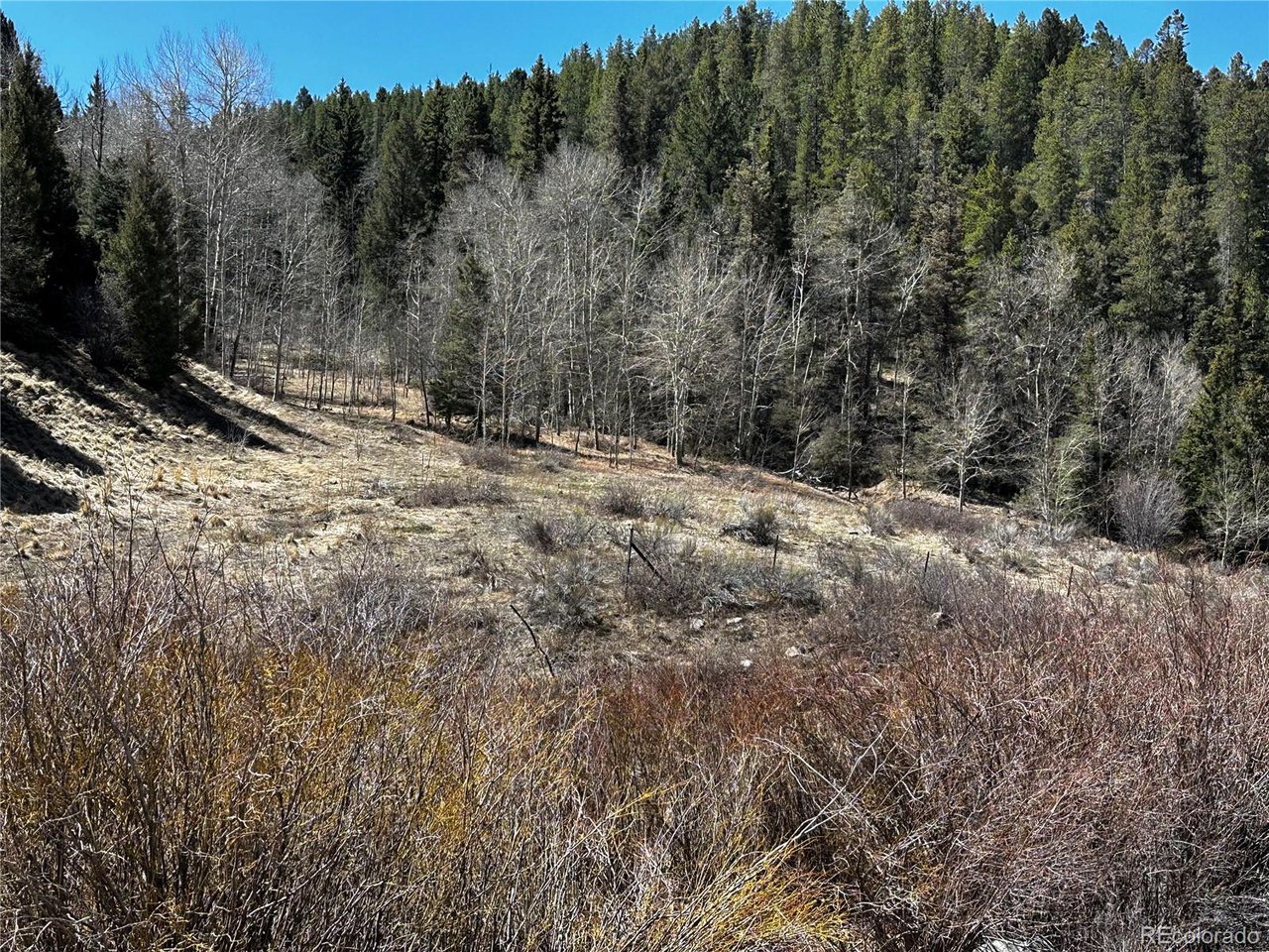 223 Hwy 160 Fort Fort Garland, CO 81133 - Photo 2 of 12 a view of a forest with trees in the background
