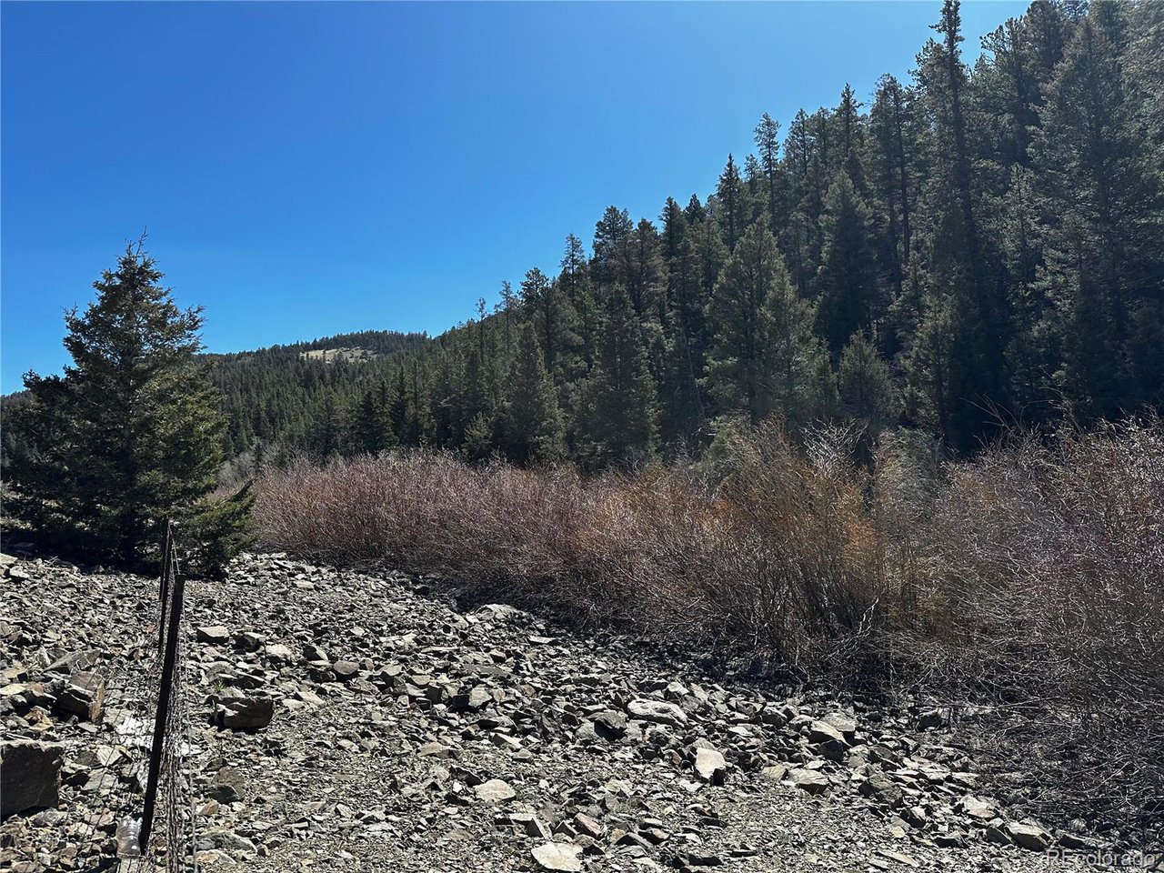 223 Hwy 160 Fort Fort Garland, CO 81133 - Photo 5 of 12 a view of a forest