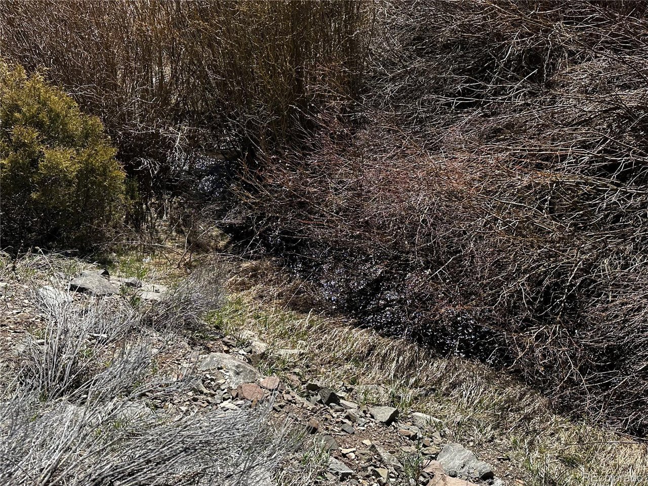 223 Hwy 160 Fort Fort Garland, CO 81133 - Photo 6 of 12 a view of a yard