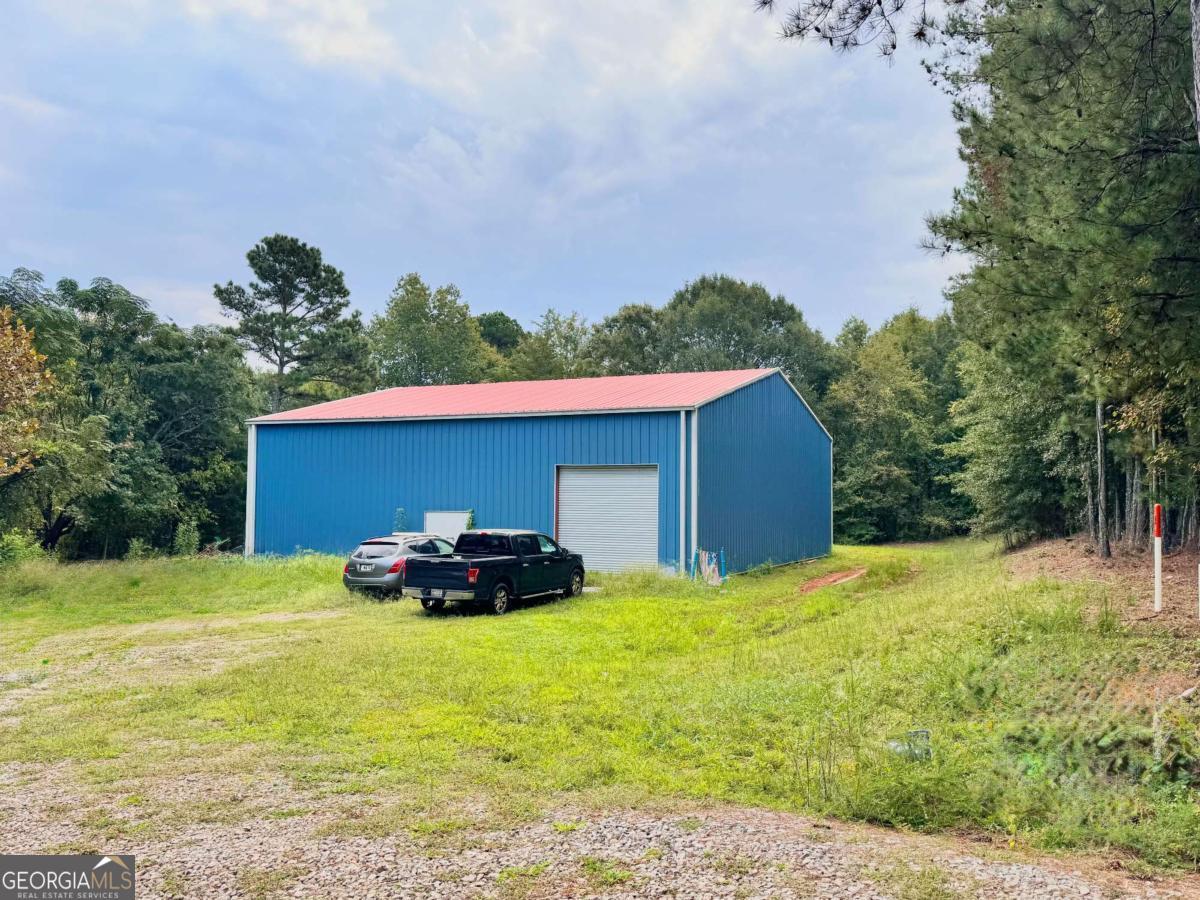 a view of a backyard with a small plants and a large tree