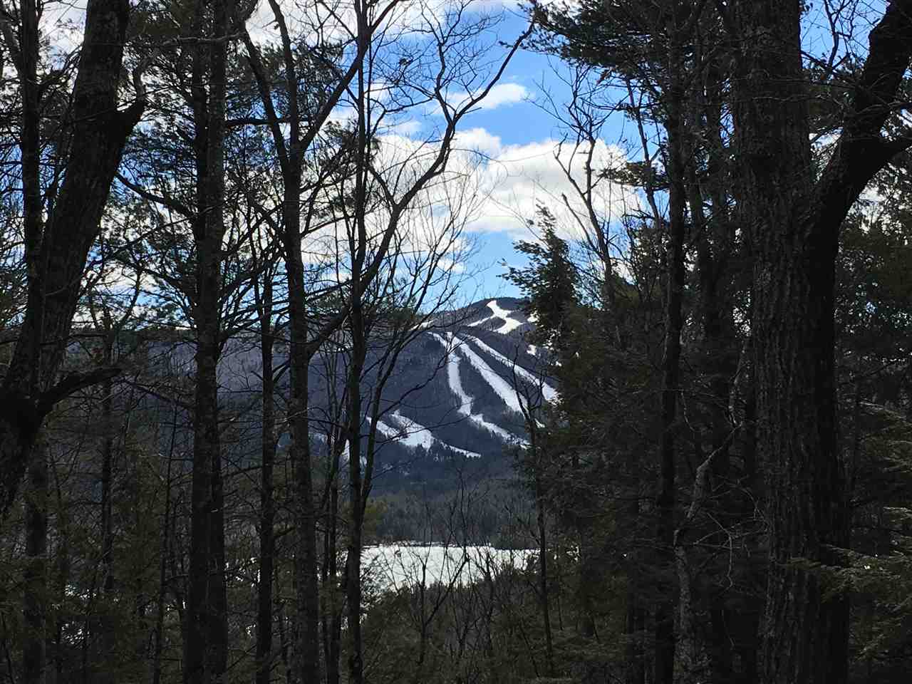 0 Hells Corner Road Sunapee, NH 03782 - Photo 1 of 10