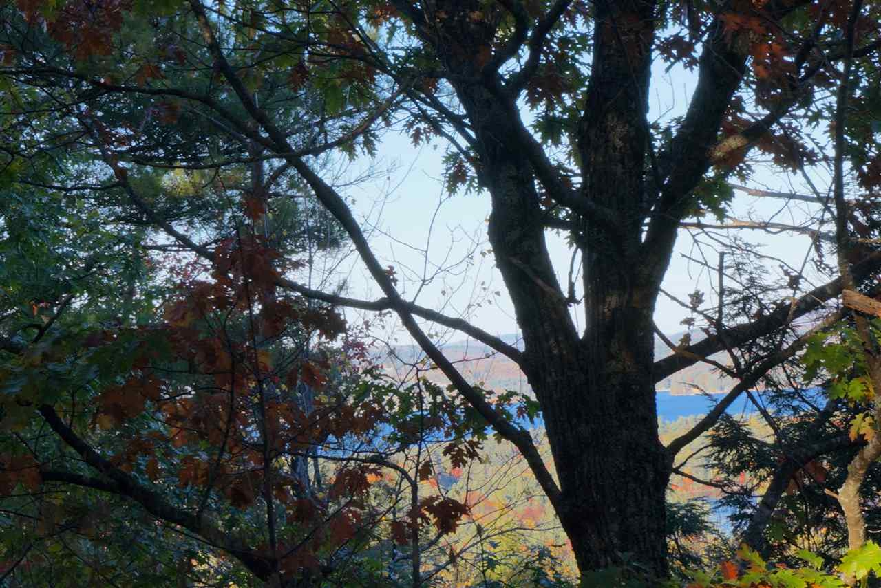 0 Hells Corner Road Sunapee, NH 03782 - Photo 7 of 10