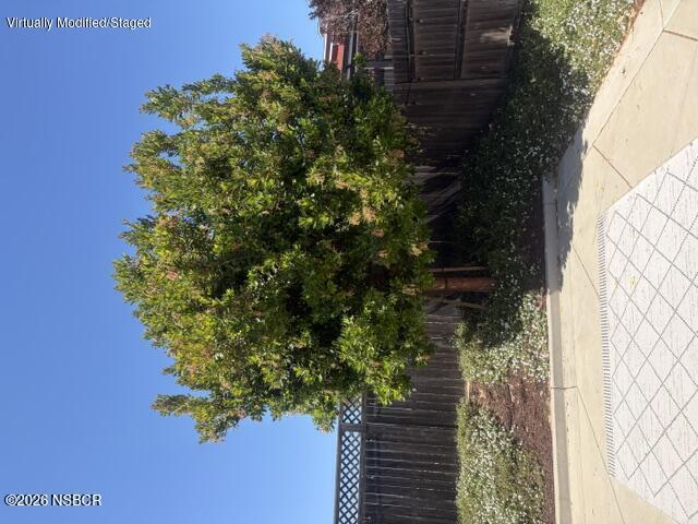 1037 Shultz Lane Santa Maria, CA 93455 - Photo 6 of 6 Back Yard