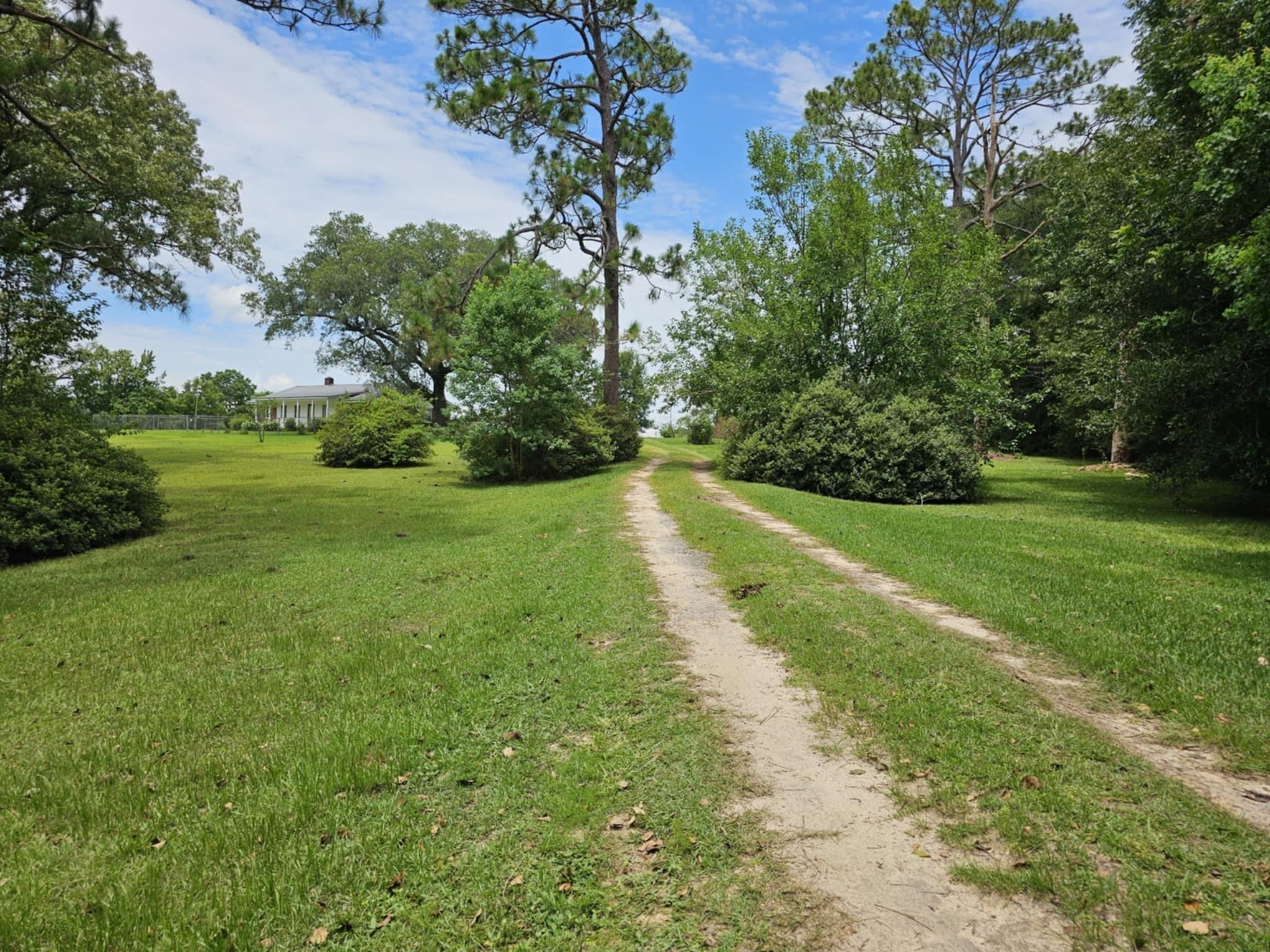 31761 Smyrna Road Florala, AL 36442 - Photo 15 of 15 Gallery Image 15