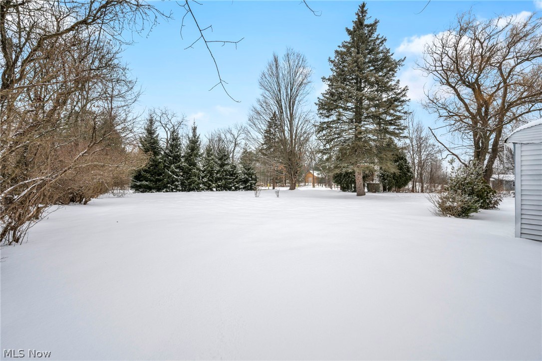 3959 Beach Road Medina, OH 44256 - Photo 42 of 47