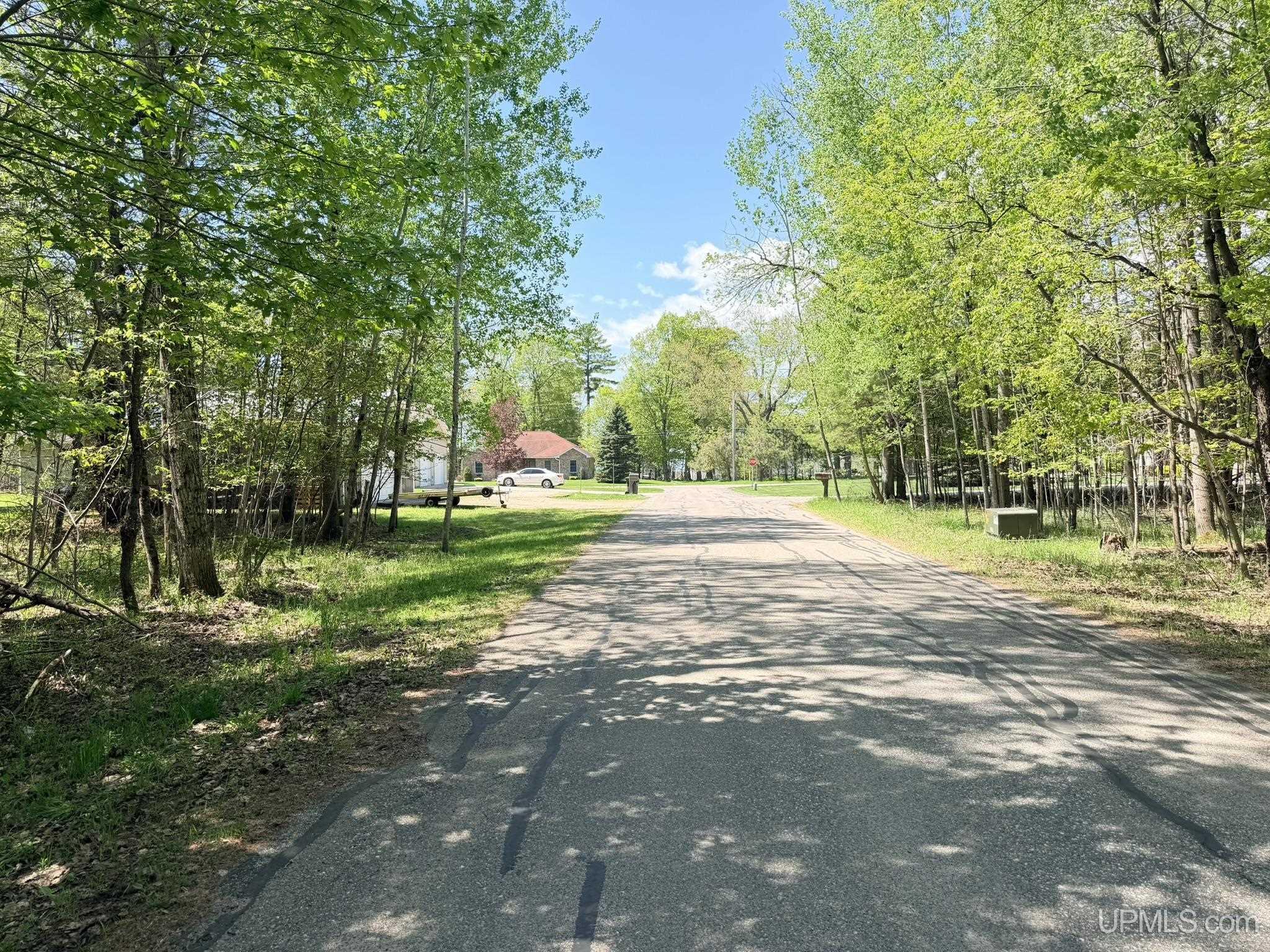 Tbd Pine Ridge Road Manistique, MI 49854 - Photo 12 of 20