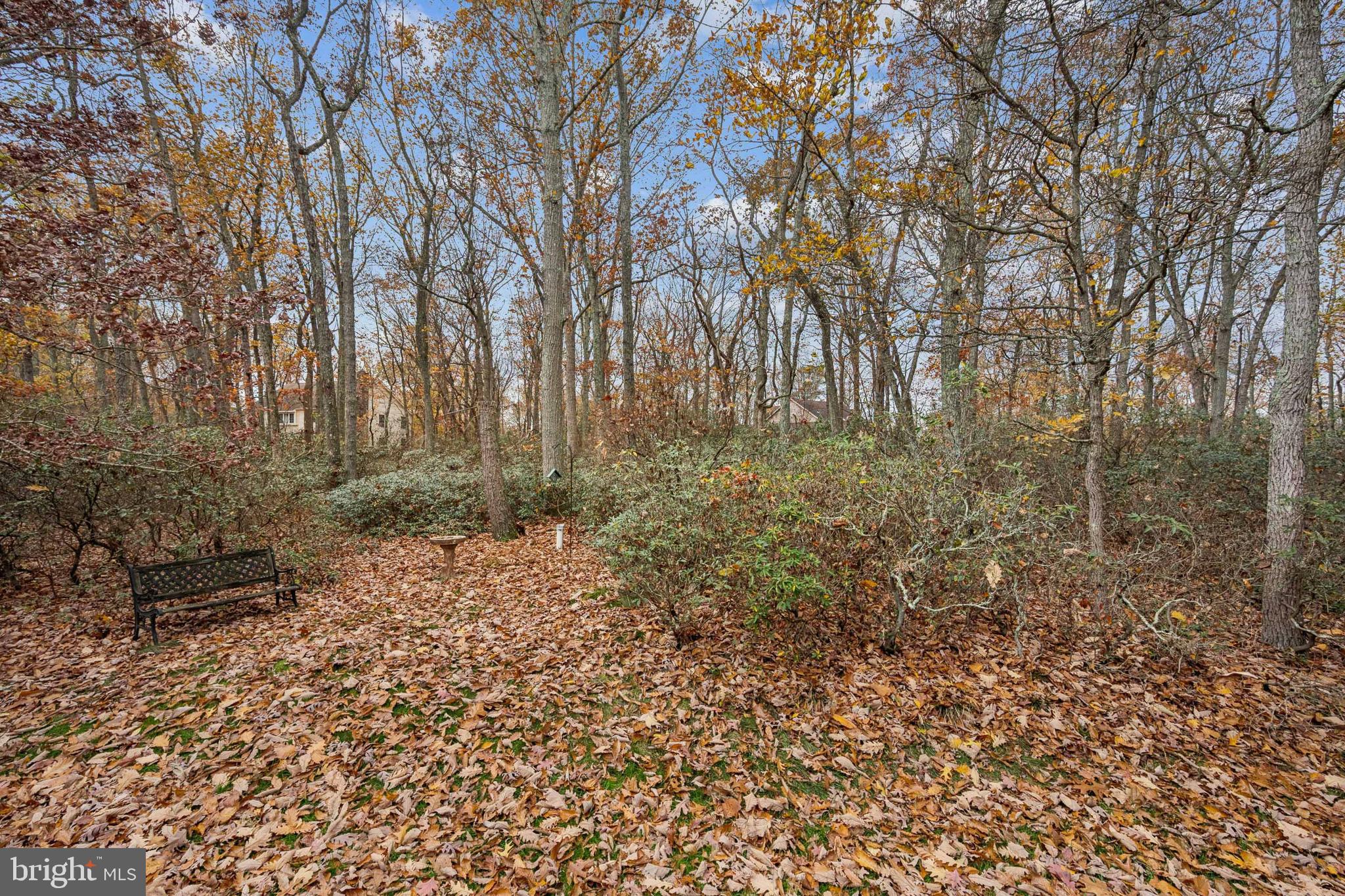 32 Constitution Drive Southampton, NJ 08088 - Photo 30 of 31 a view of backyard with green space
