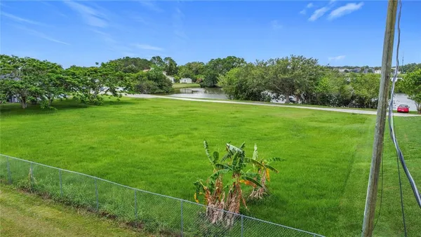 a view of a field with a tree in a yard