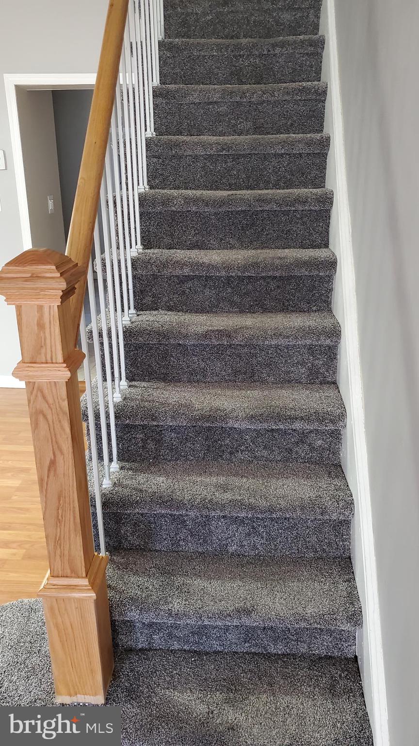 1344 Unity Street Philadelphia, PA 19124 - Photo 7 of 43 Gallery Image 7