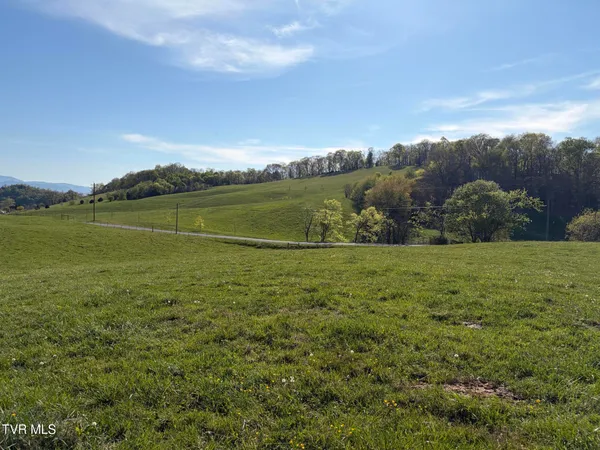 $49,900 | Lot 3 Ward Rowe Road, Unit 3R, Limestone, TN 37681