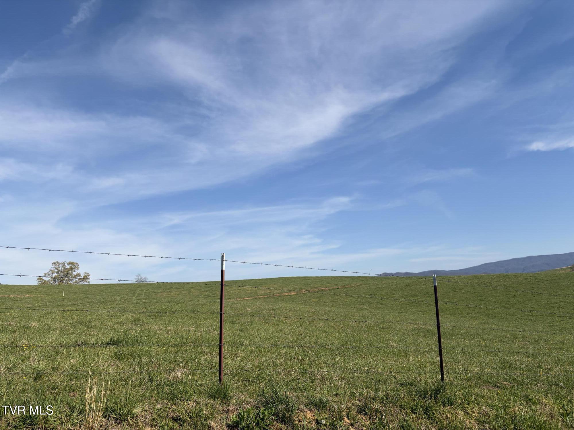 Lot 3 Ward Rowe Road, Unit 3R Limestone, TN 37681 - Photo 4 of 8 IMG_3896