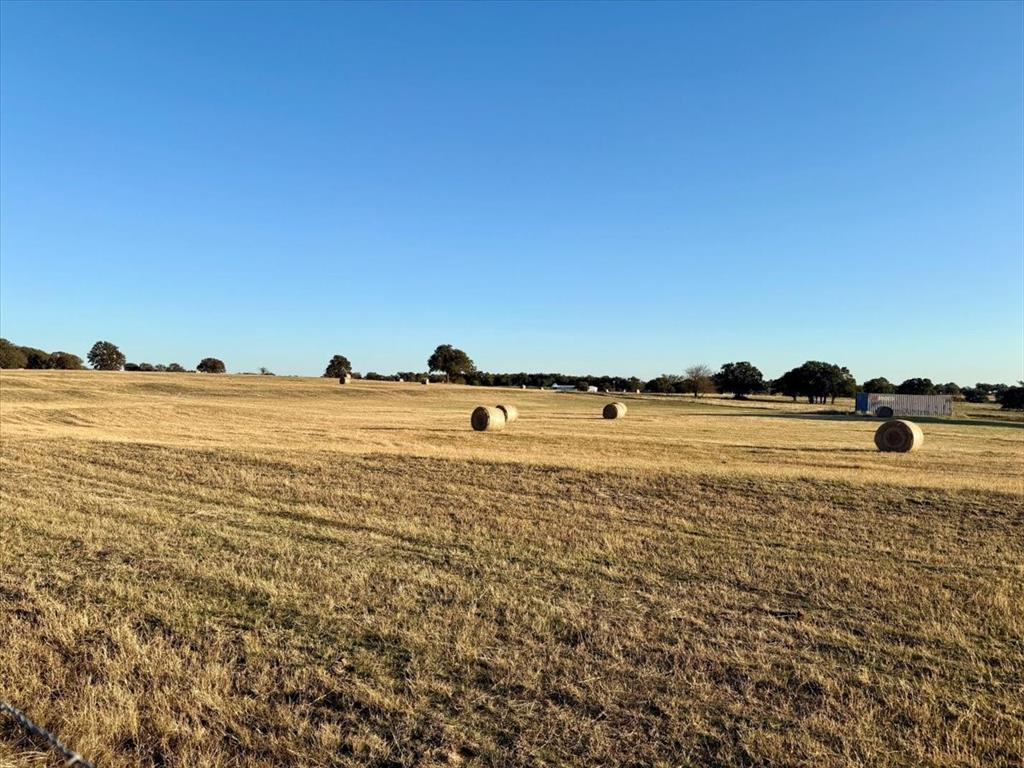 View of round bales cut in 2025